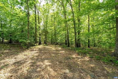 1309 Salem Rd unit 4, Schuyler, VA 22969 - photo 2