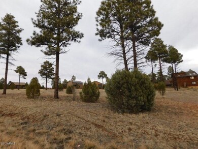 2741 Skyhawk Dr (2)