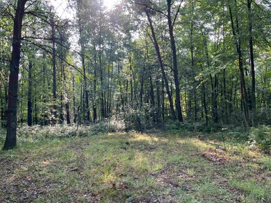 8321 Dragonfly Rd, Warrens, WI 54666 - photo 4