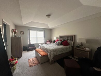 2101 Sunset Wind Loop, Oldsmar, FL 34677 - photo 5