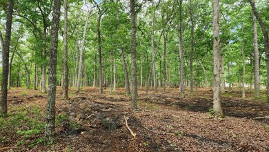 0 Fredonia Rd unit RTC2658031, Manchester, TN 37355 - photo 6