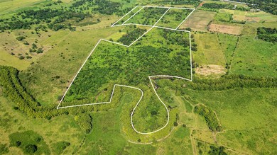 PR-2 KM 162, Hormigueros, PR 00660 - photo 5