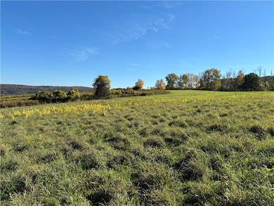 0 County Highway 28, Otsego, NY 13326 - photo 5