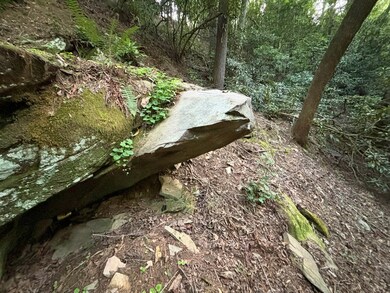 LOT 14 McAfee Knob Rd, Ellijay, GA 30510 - photo 4