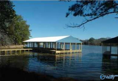 475 John Cabaniss Rd, Langston, AL 35755 - photo 5