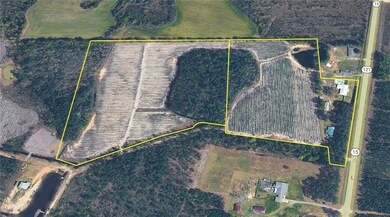 2203 N Hwy 121 Hwy, Blackshear, GA 31518 - photo 6