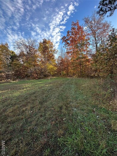 TBD Tract 5 Bobwhite Ln, Fairdealing, MO 63939 - photo 4