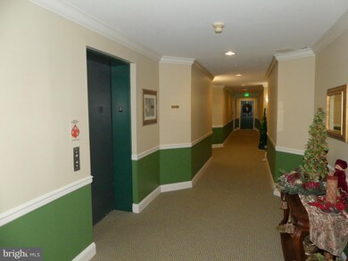 4550 Chaucer Way unit 303, Owings Mills, MD 21117 - photo 5