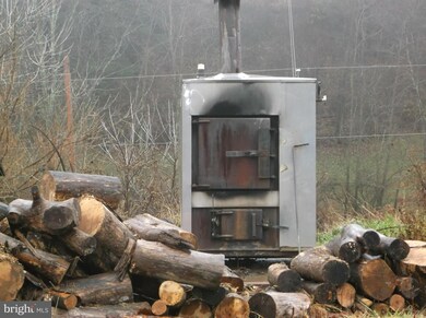 8216 Grassy Lick Rd, Romney, WV 26757 - photo 6