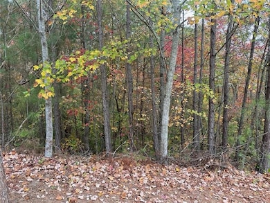 427 Spring Lake Hills, White, GA 30184 - photo 3