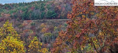 COLOR!!! VIEWS!!!- blue ridge parkway way back there!