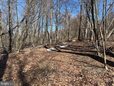 18.08 AC Bear Ridge Rd, New Creek, WV 26743 - photo 4