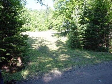 152 Deadwater Loop, Clarksville, NH 03592 - photo 3