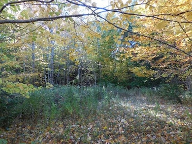 124 Fern Rd, Dover-Foxcroft, ME 04426 - photo 5