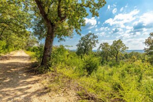 Tract 4 Mc 8025, Peel, AR 72668 - photo 2