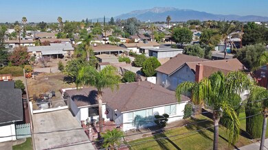 DJI_0456  web