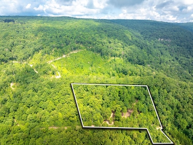 10-web-or-mls-DJI_20250711080834_0783_D-