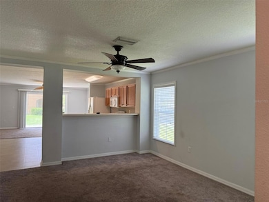 6907 Marble Fawn Place, Riverview, FL 33578 - photo 3