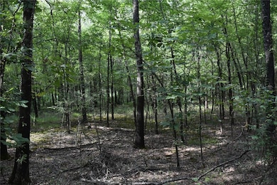 0 Mandy Ln, Casa, AR 72025 - photo 7