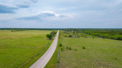 Tbd Walter Hoffman Rd, Cedar Creek, TX 78612 - photo 4