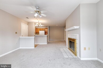 4408 Silverbrook Ln unit K201, Owings Mills, MD 21117 - photo 6