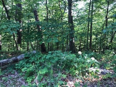 0 Burghley Ln unit 1119724, Bella Vista, AR 72714 - photo 3