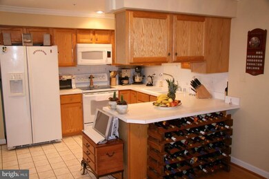 7906 Brightlight Place, Ellicott City, MD 21043 - photo 4