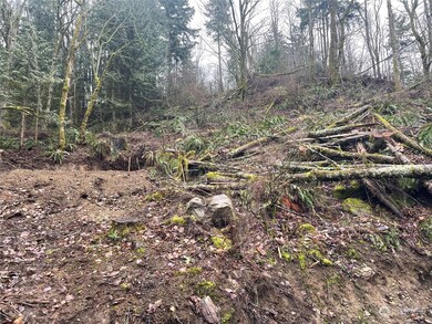 0 Brays Way unit NWM2029894, Bellingham, WA 98226 - photo 2