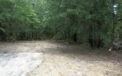 1893 Loncala Loop, Fort White, FL 32038 - photo 3