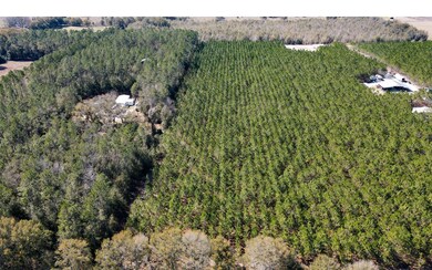 TBD 77th Rd, O'Brien, FL 32071 - photo 7
