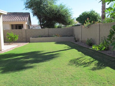 2 Backyard and Raised Garden
