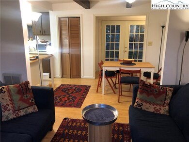 170 Trout Pond Ln unit 2, Banner Elk, NC 28604 - photo 3