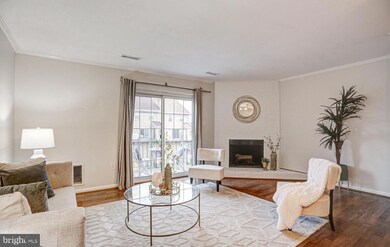 927 S Rolfe St unit 2, Arlington, VA 22204 - photo 3