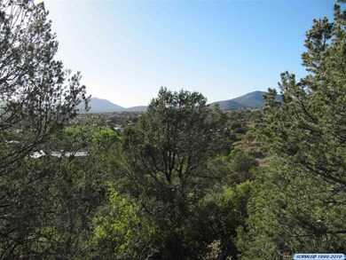 4450 N Arrowhead Rd, Silver City, NM 88061 - photo 4