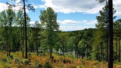 Scenic Overlook from Cul-De-Sac at Lot Road Fronta