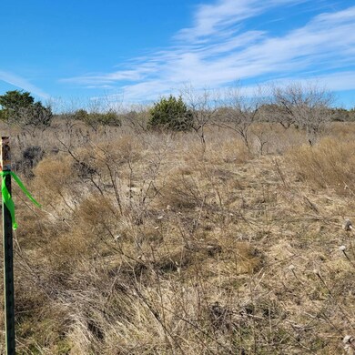 000 Private Road 16024 unit 111, Jonesboro, TX 76538 - photo 4