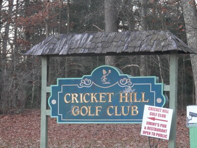 0 Cricket Hill Rd, Berlin Township, PA 18428 - photo 5