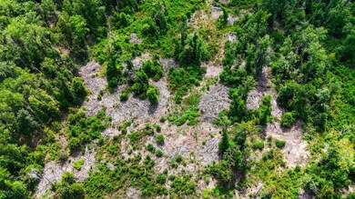 0 Tbd Highway 87 unit LotWP001, Bleakwood, TX 75956 - photo 4