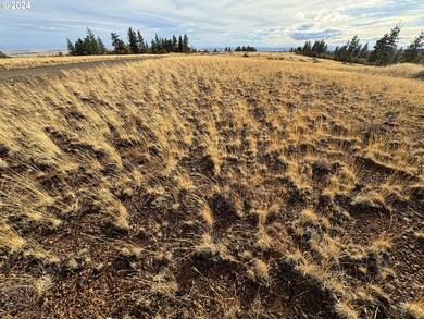 0 Jensen Quarry Rd unit 458778571, Bickleton, WA 99322 - photo 6