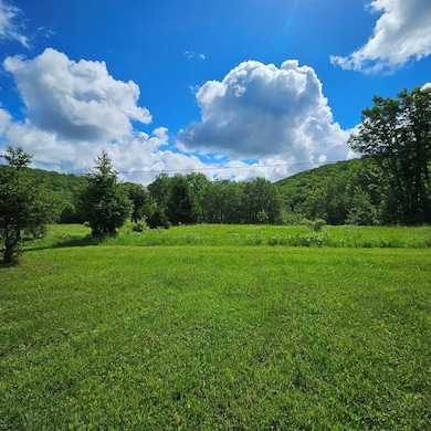 359 Gazdag Rd, Genesee, PA 16923 - photo 6