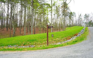 Additional View