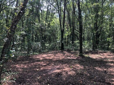 0 Burnett Rd unit 158759, Byron, GA 31008 - photo 4