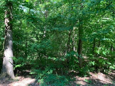 0 Lucian Sorrel Rd, Broken Bow, OK 74728 - photo 4