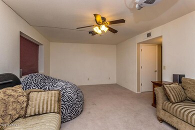 Lower Level Family Room