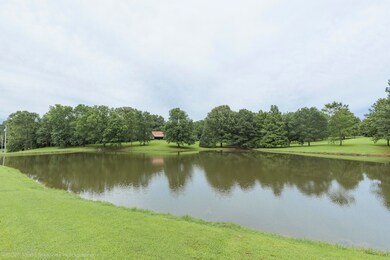 Pond view from front porch