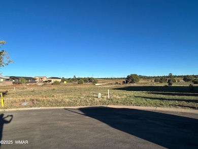 1041 S Lorenzo Sitgreaves Dr, Show Low, AZ 85901 - photo 4