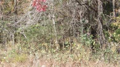 8.60ac Moss Arcot Rd, Celina, TN 38551 - photo 7