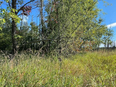 3 acres 7th St, Weyerhaeuser, WI 54895 - photo 6