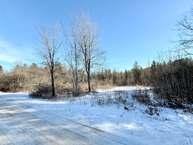 0 Hank Wilson Rd, Cadyville, NY 12918 - photo 4