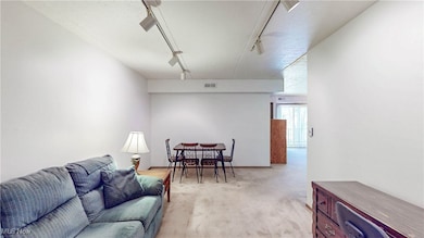 Tudor House Condo unit 121, North Olmsted, OH 44070 - photo 7